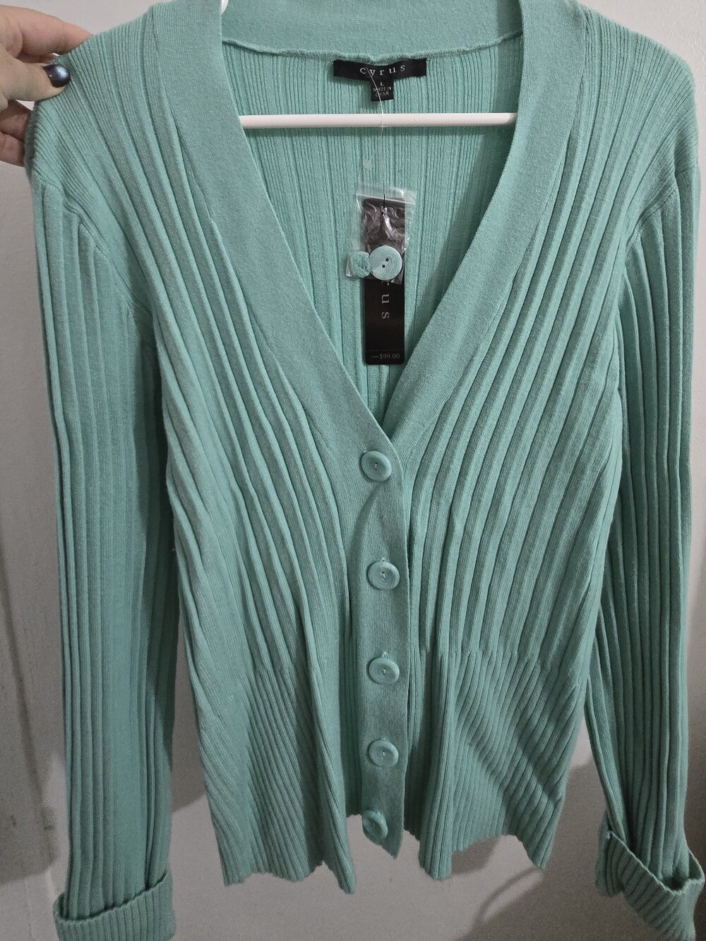 Cyrus Mint Green Pleated Top/Jacket
